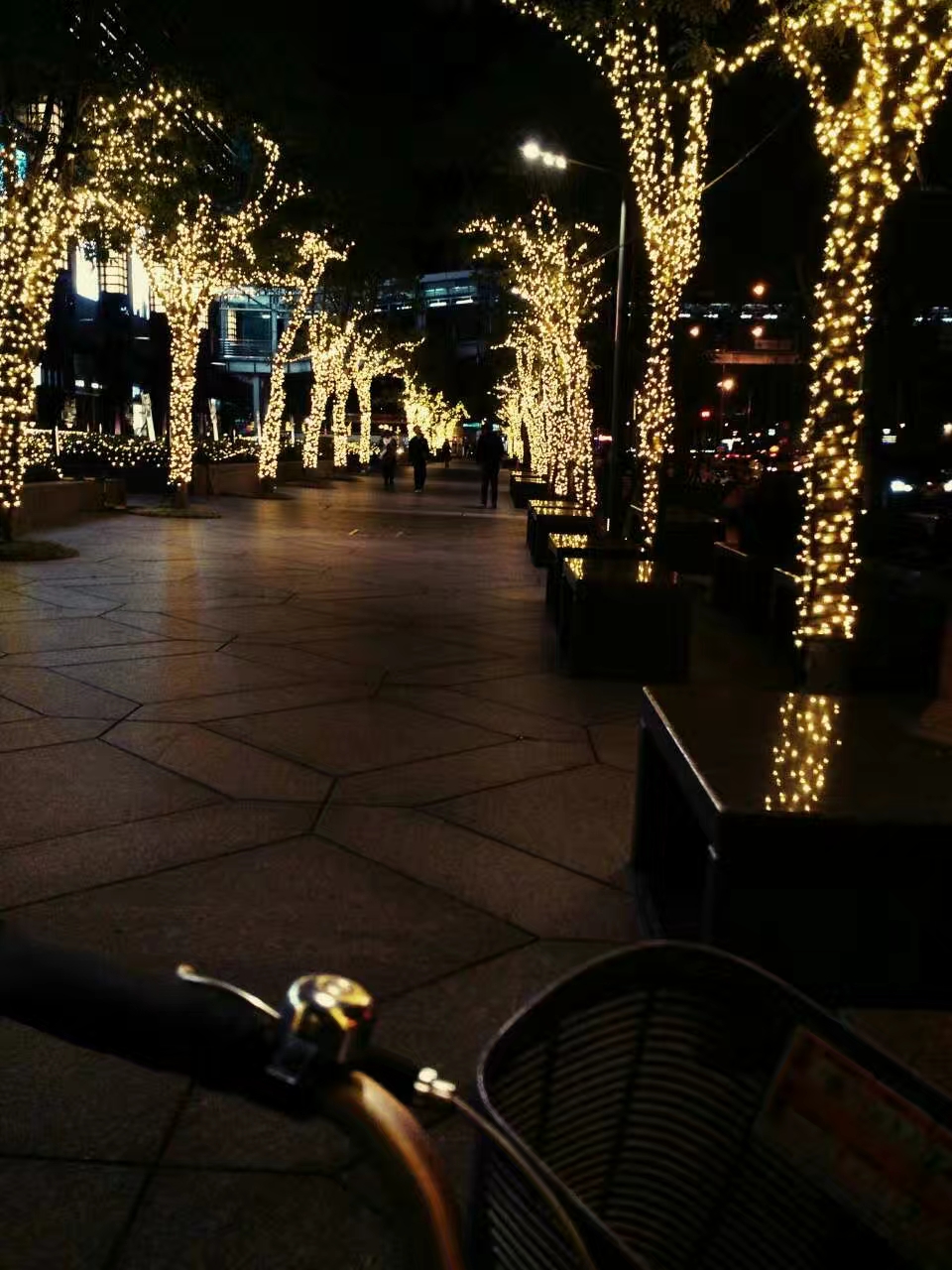 2017_12_25_101_圣诞